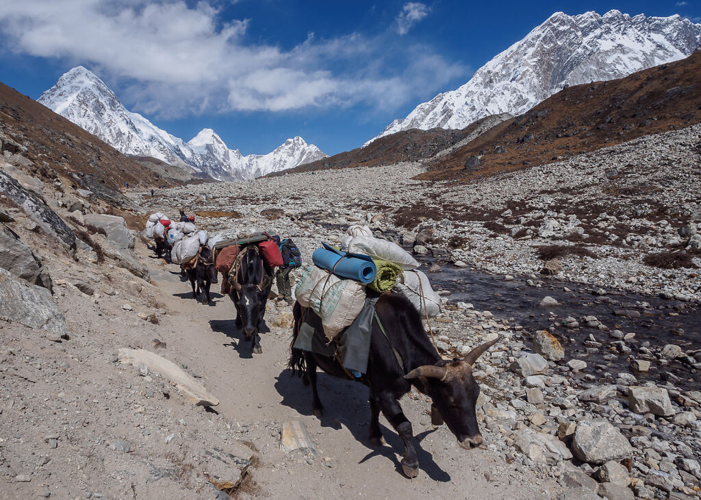 Everest Base Camp Trail