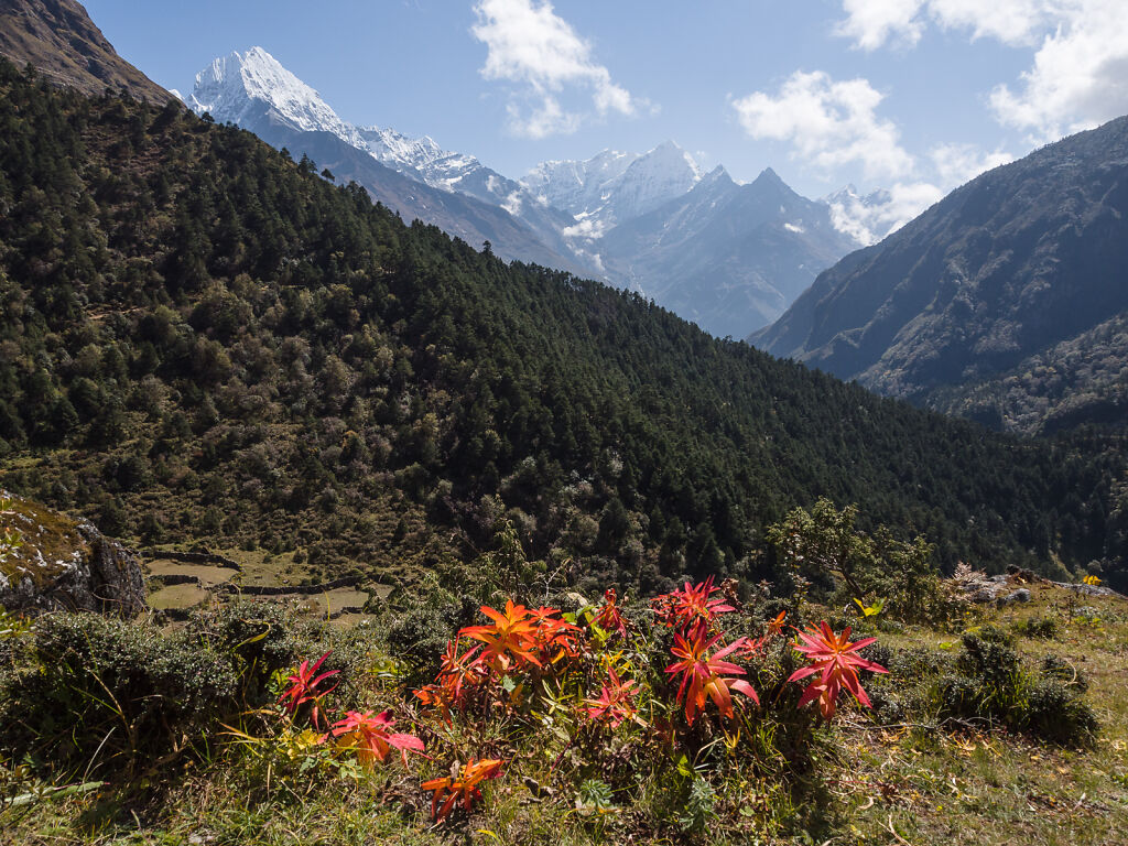 Thame Valley and Renjo La