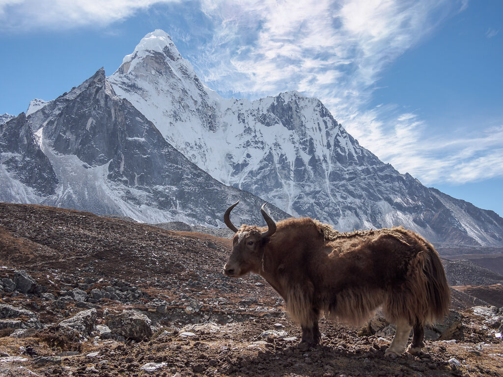 Imja Valley and Island Peak