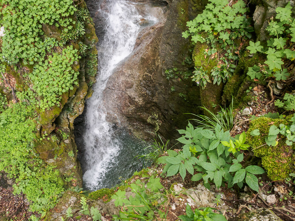 Stara Planina