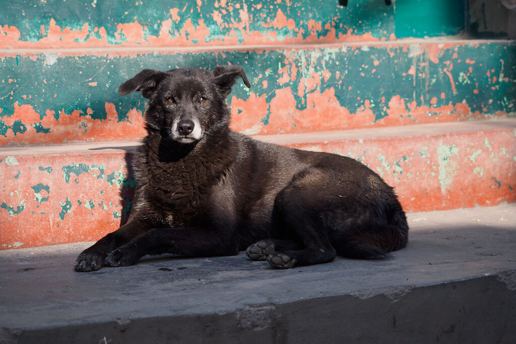 Around Kathmandu