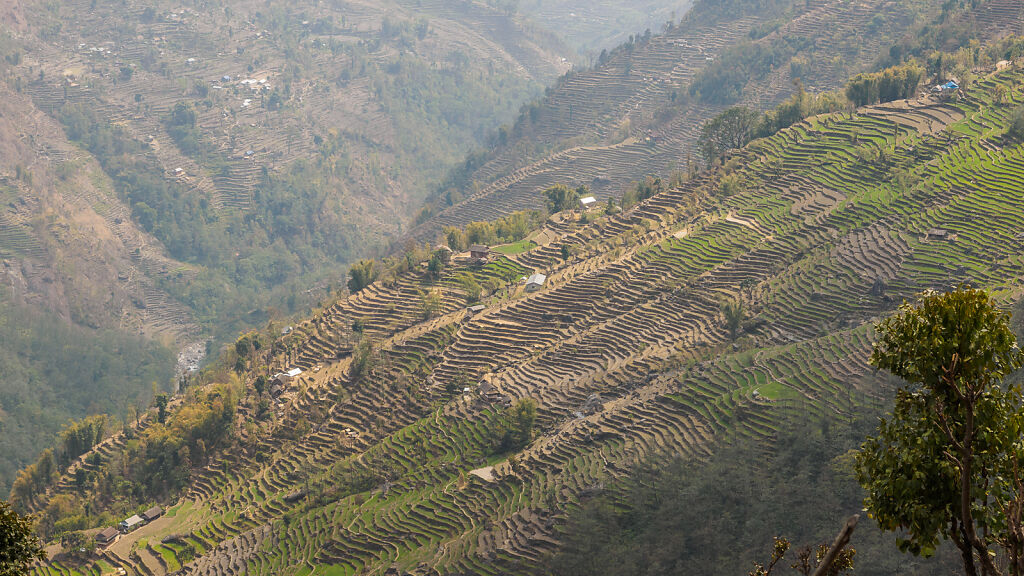 Kanchenjunga South - The Lower Himalaya