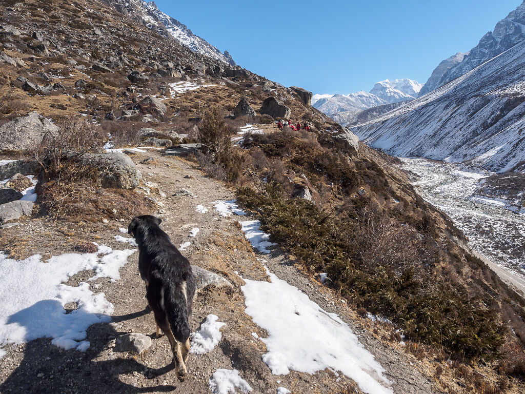 Kanchenjunga North - Kambachen