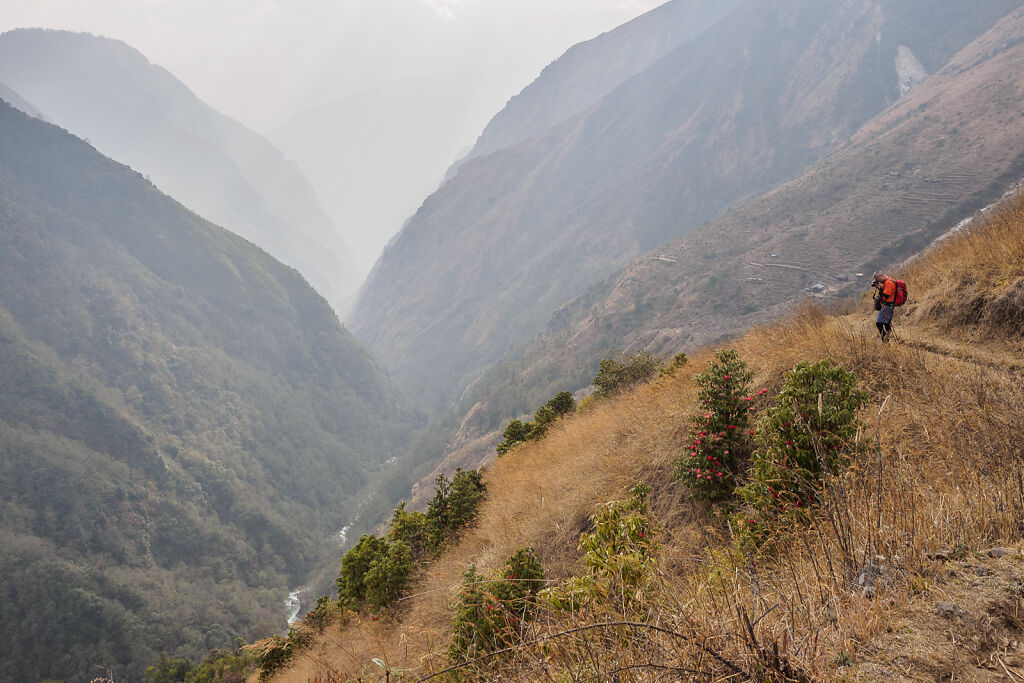 Kanchenjunga North - Back to Suketar