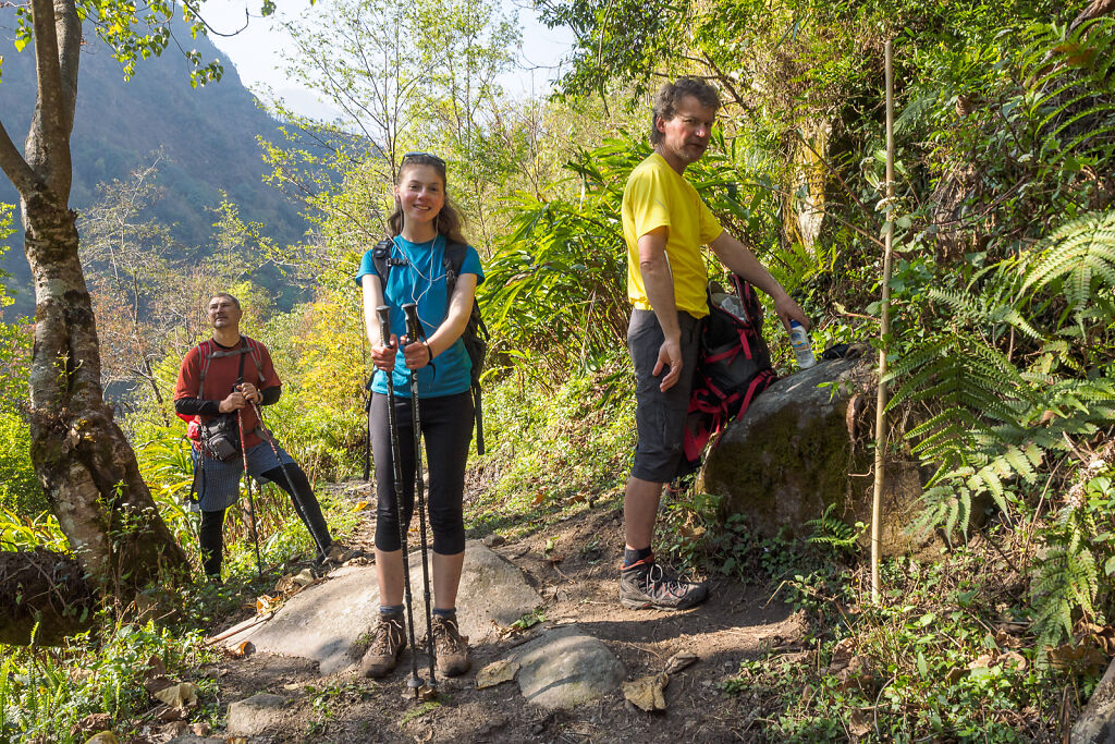 Kanchenjunga North - Back to Suketar