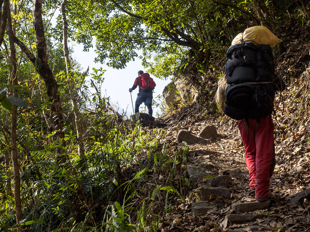 Kanchenjunga North - Back to Suketar