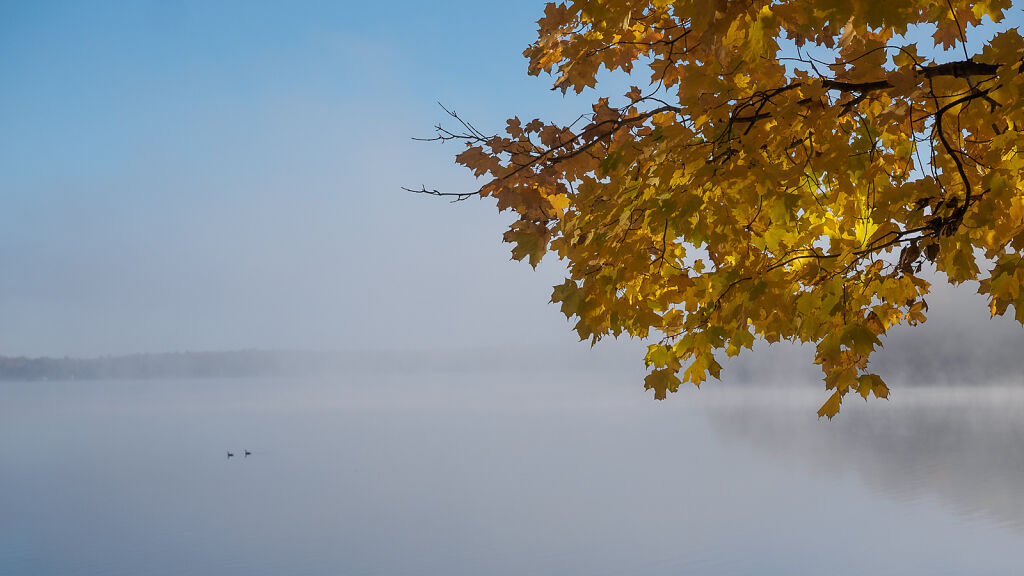 Ontario