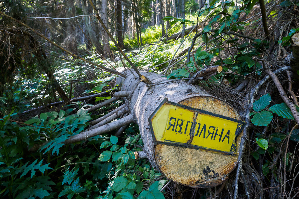 Pirin