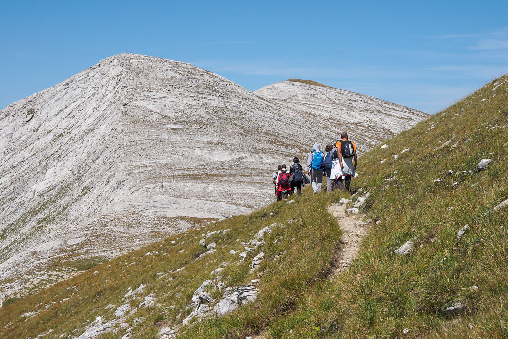 Pirin