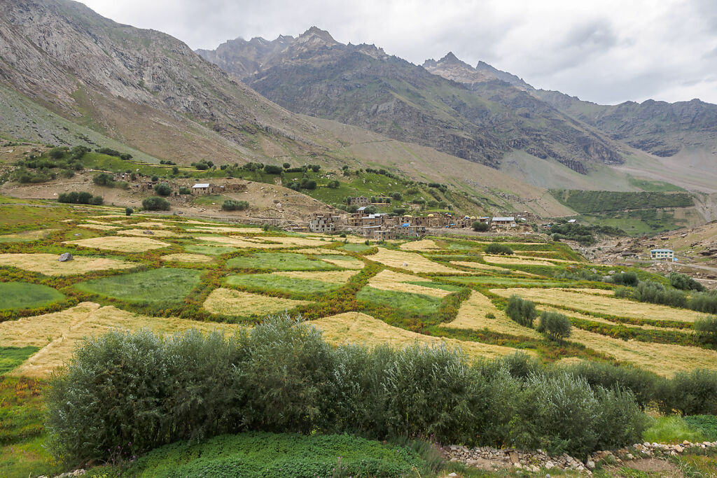 Leh-Kargil-Tangol