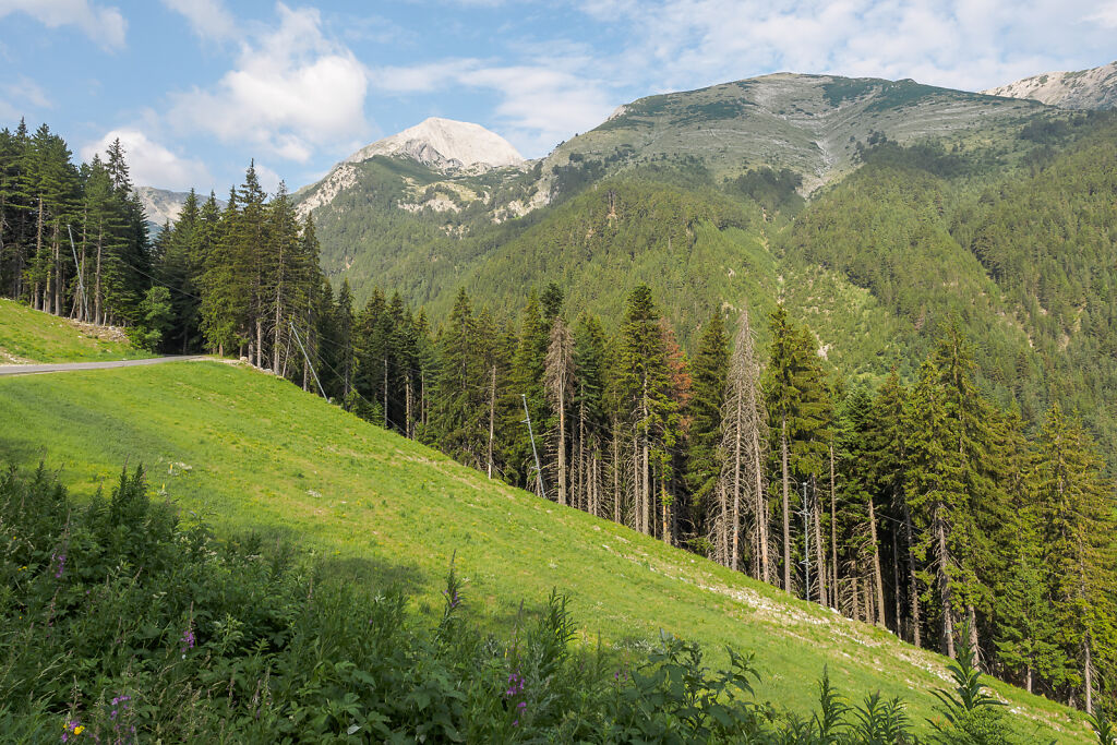 Pirin 2017