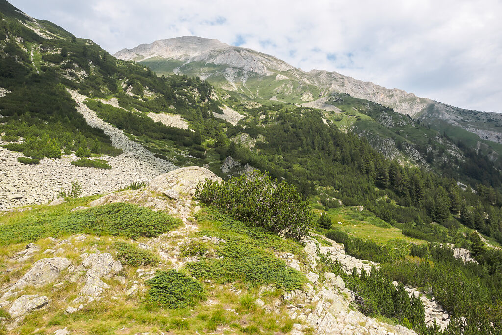 Pirin 2017