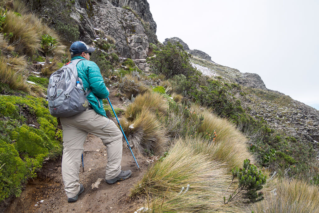 Rucu Pichincha