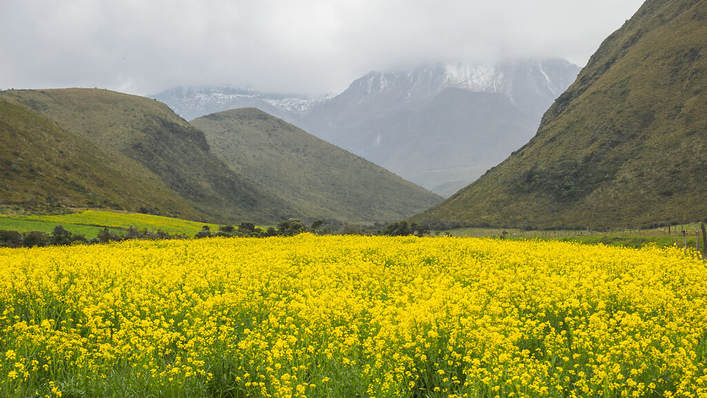 Iliniza Norte